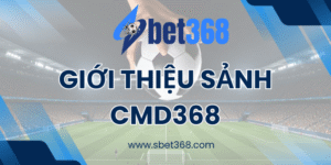 Giới thiệu Sảnh CMD368